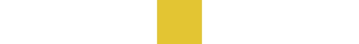 golden spice (5455)
