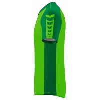 ERIMA Six Wings Trikot green/emerald (3132204)