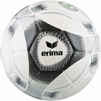ERIMA BALL HYBRID Training 2.0 black/white/silver (7192209)