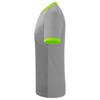ERIMA Mantua Trikot silver grey/green gecko (6132305)