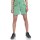 SCHÖFFEL Shorts Hestad L DAMEN matcha mint (13211_6055)