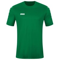 JAKO Trikot Team KA sportgrün (4233_06)