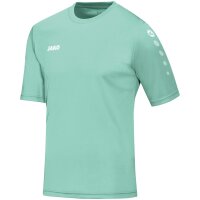 JAKO Trikot Team KA minze (4233_251)