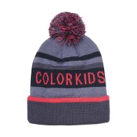 COLOR KIDS HAT LOGO CK W. FLEECE LINING graystone...