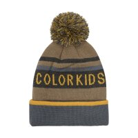 COLOR KIDS HAT LOGO CK W. FLEECE LINING stormy weather...