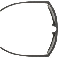 ALPINA SONNENBRILLE NACAN I black matt (A8739532) one...