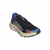 ADIDAS TERREX AGRAVIC GTX TRAILRUNNING-SCHUH HERREN cblack/ftwwht/rayblu (JR9105)