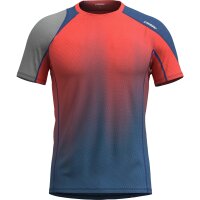 CRAZY T-SHIRT ACCELERATION HERREN slate (S26095134U_144)