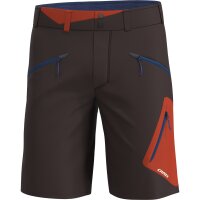 CRAZY SHORTS RESOLUTION HERREN oriente (S26015247U_125)