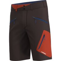 CRAZY SHORTS RESOLUTION HERREN oriente (S26015247U_125)