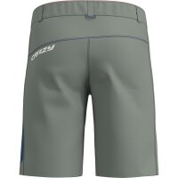 CRAZY SHORTS RESOLUTION HERREN slate (S26015247U_144)