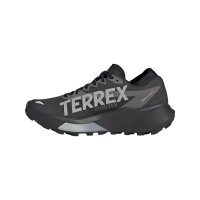 ADIDAS TERREX AGRAVIC GTX 2.0 GORE-TEX TRAIL RUNNING SCHUH DAMEN grey (HQ5092)